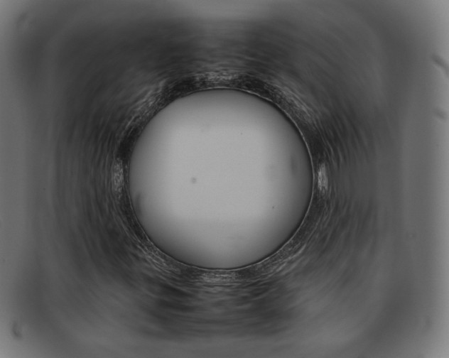 X0000092101299200709121101