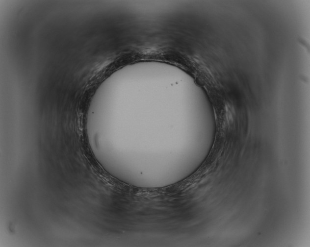 X0000092101301200709121101