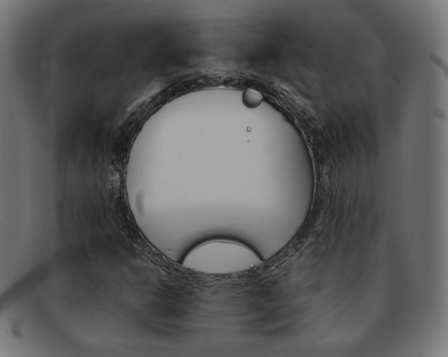 X0000092101302200709121101
