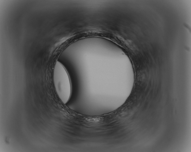 X0000092101303200709121101
