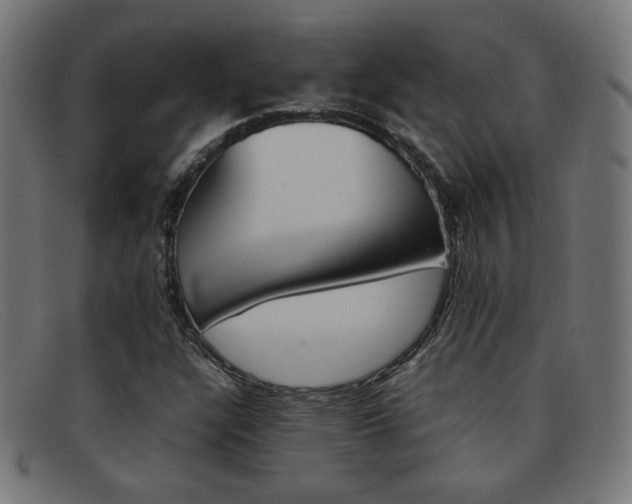 X0000092101304200709121101
