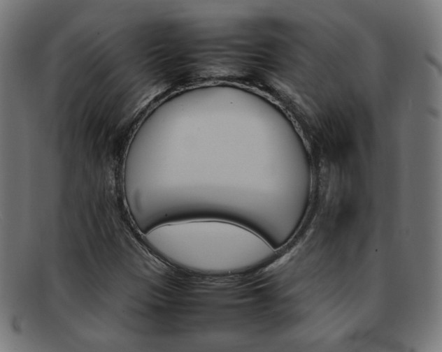 X0000092101305200709121101