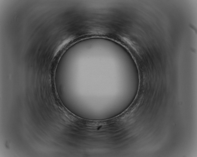X0000092101307200709121101