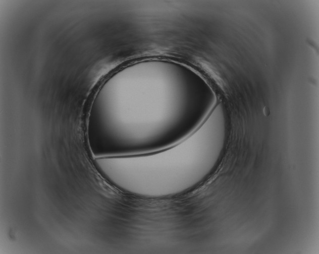X0000092101308200709121101