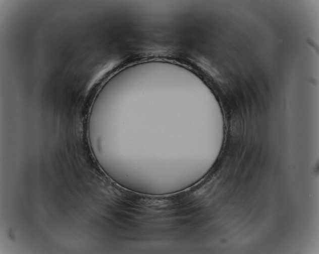 X0000092101309200709121101