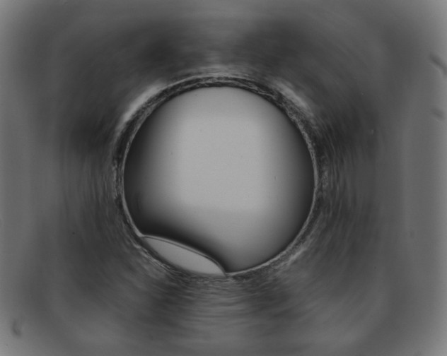 X0000092101310200709121101