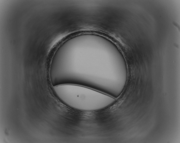 X0000092101311200709121101