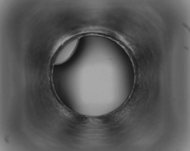 X0000092101312200709121101