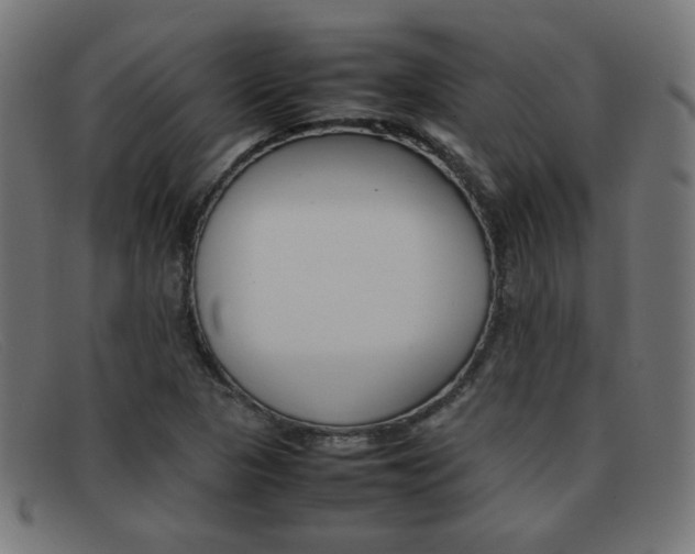 X0000092101313200709121101