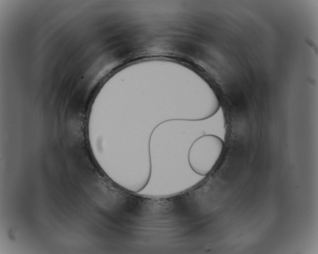 X0000092101314200709121101