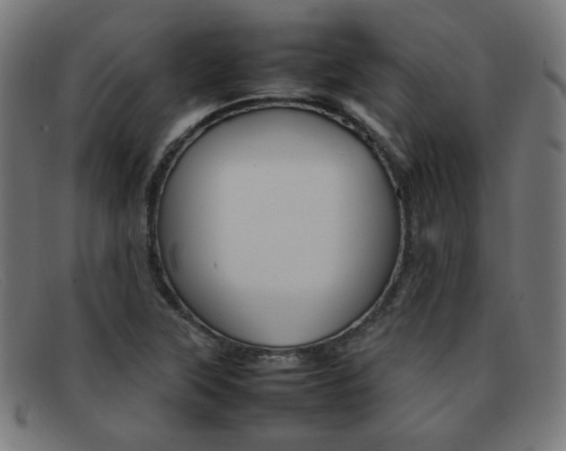 X0000092101315200709121101