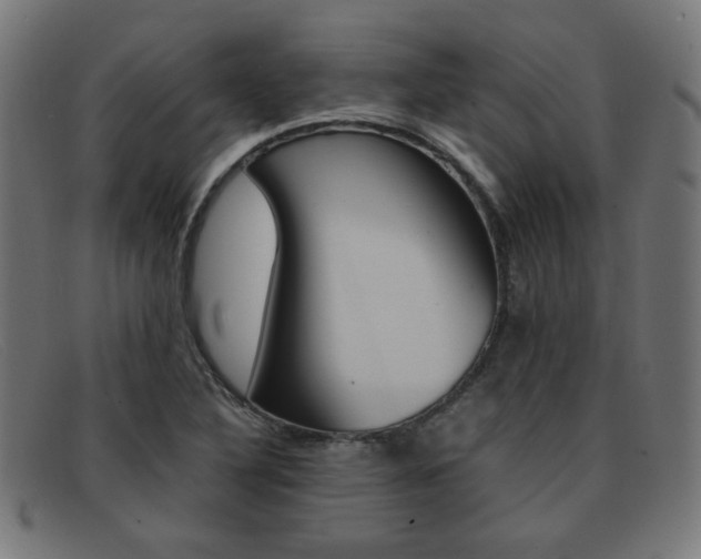 X0000092101316200709121101