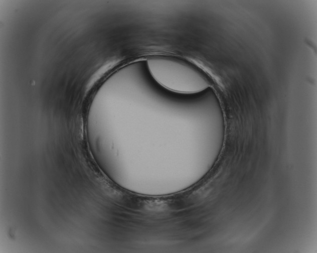 X0000092101317200709121101