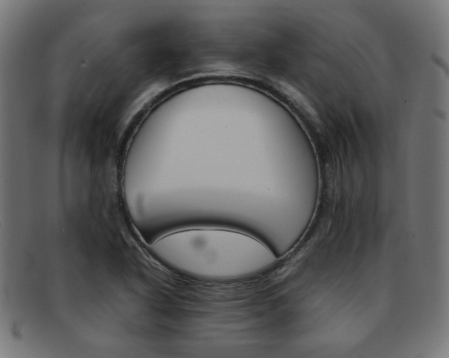 X0000092101318200709121102