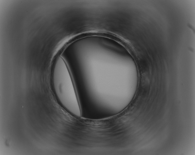 X0000092101319200709121102