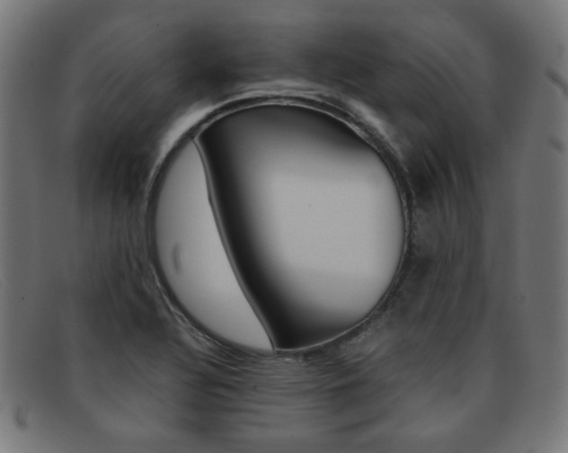X0000092101320200709121102