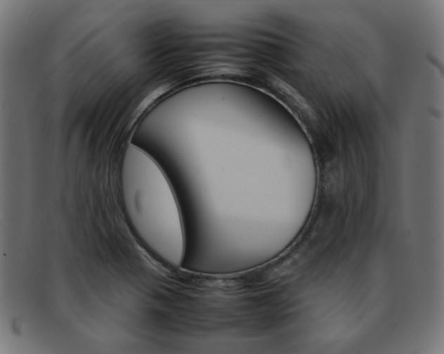 X0000092101321200709121102