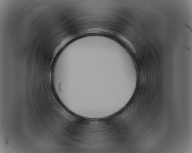 X0000092101322200709121102