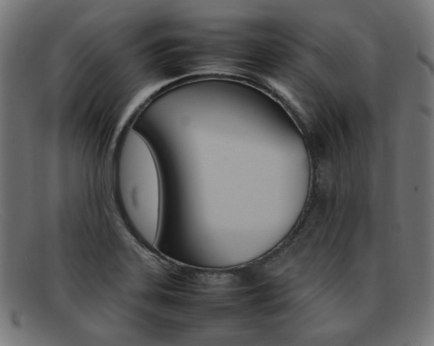 X0000092101323200709121102