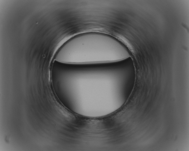 X0000092101324200709121102