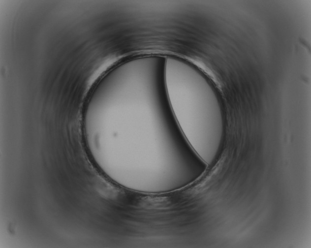 X0000092101325200709121102