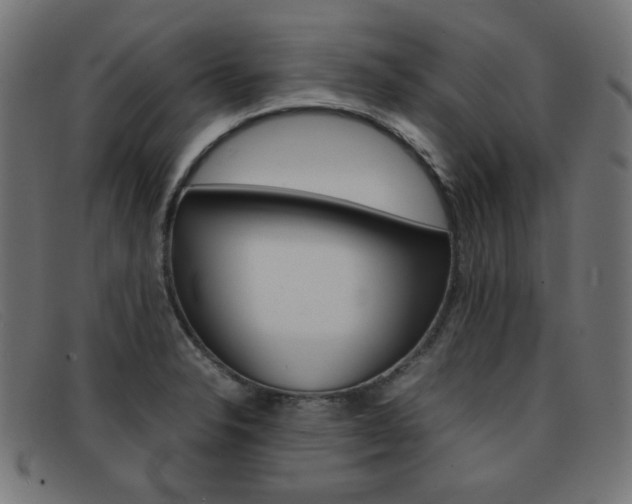 X0000092101326200709121102
