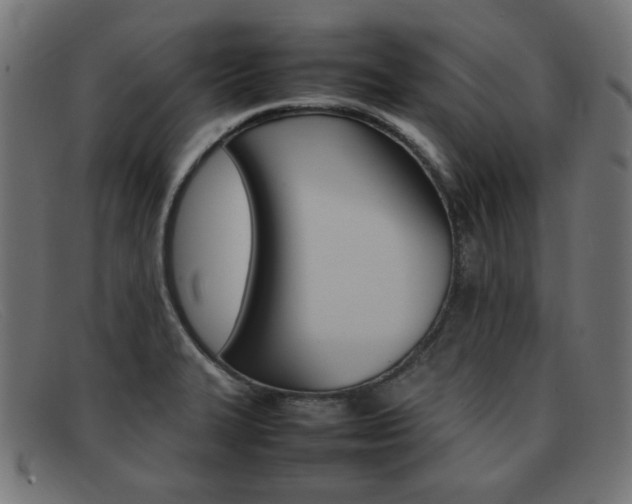 X0000092101327200709121102