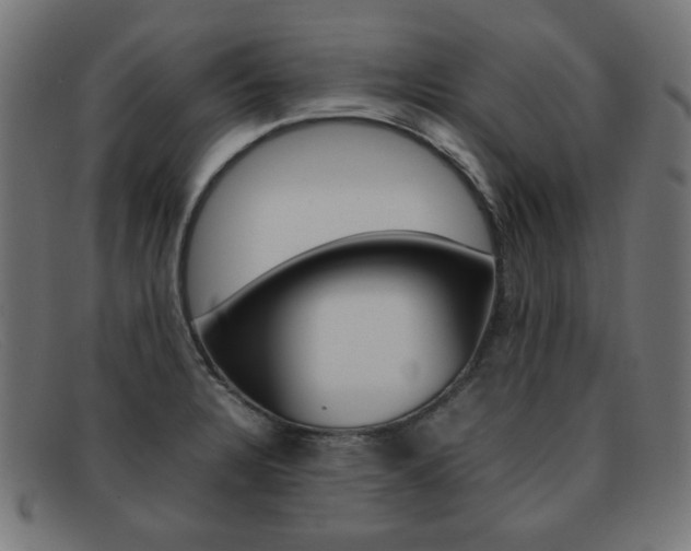 X0000092101328200709121102