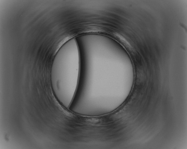 X0000092101329200709121102