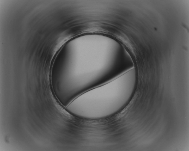 X0000092101330200709121102