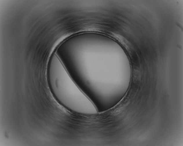 X0000092101331200709121102