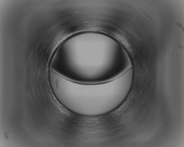 X0000092101332200709121102