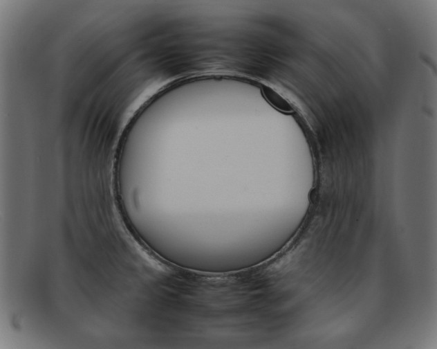 X0000092101333200709121102