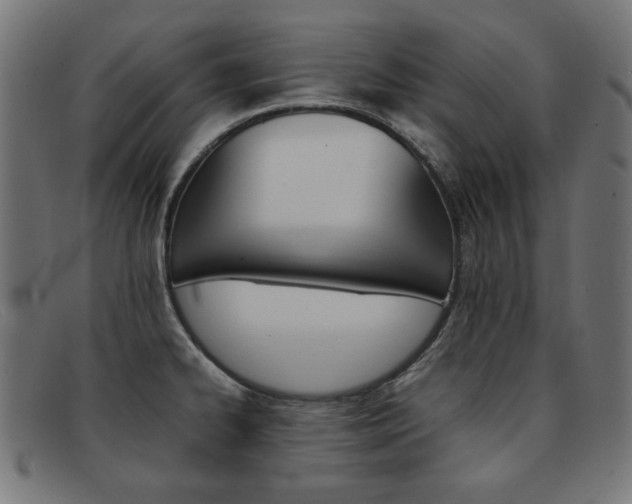 X0000092101334200709121102