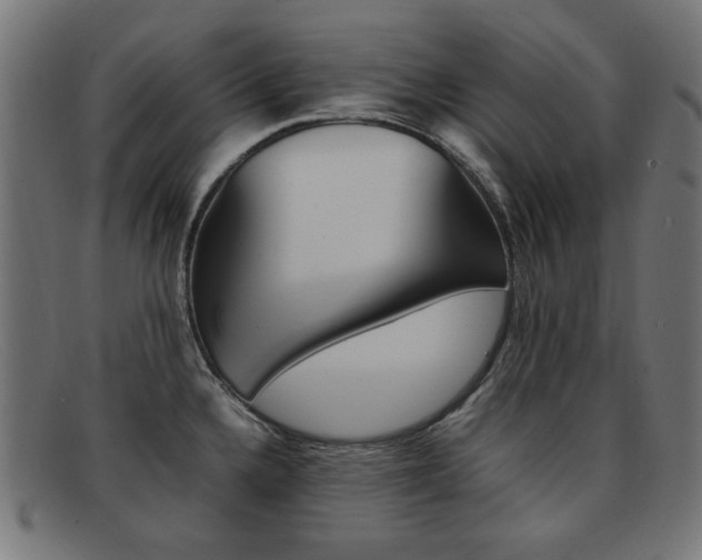 X0000092101336200709121102