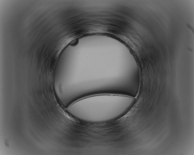 X0000092101337200709121102
