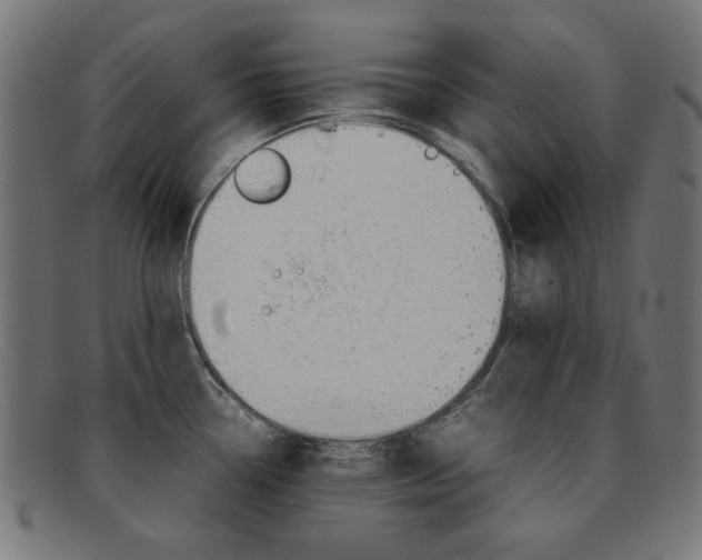 X0000092101338200709121102
