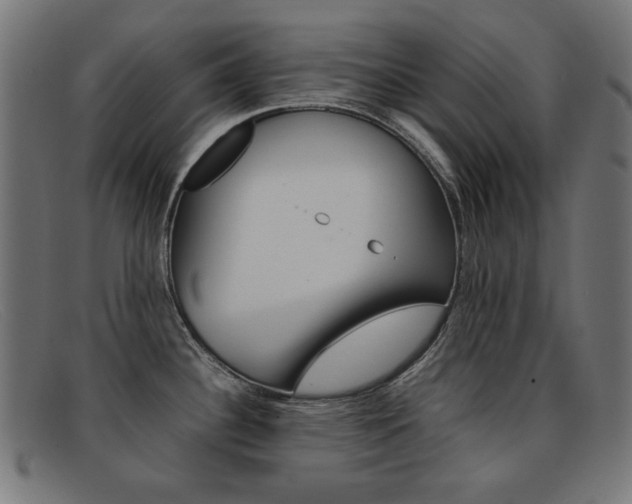 X0000092101340200709121102