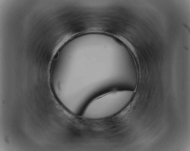 X0000092101341200709121102