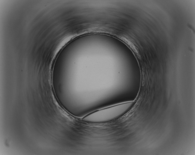 X0000092101342200709121102