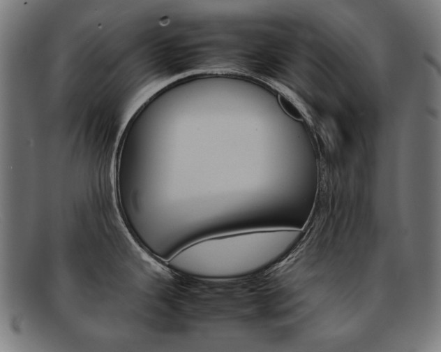 X0000092101343200709121102