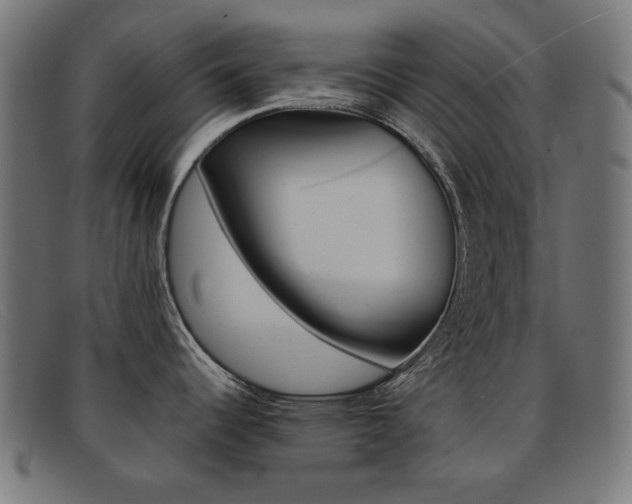 X0000092101344200709121102
