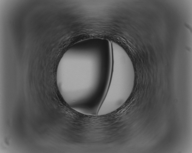 X0000092101345200709121101