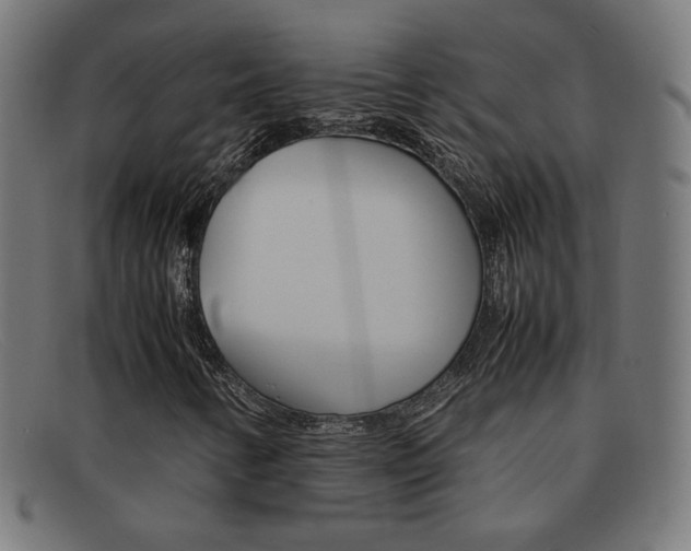 X0000092101346200709121101