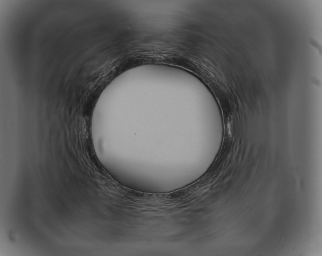 X0000092101347200709121101