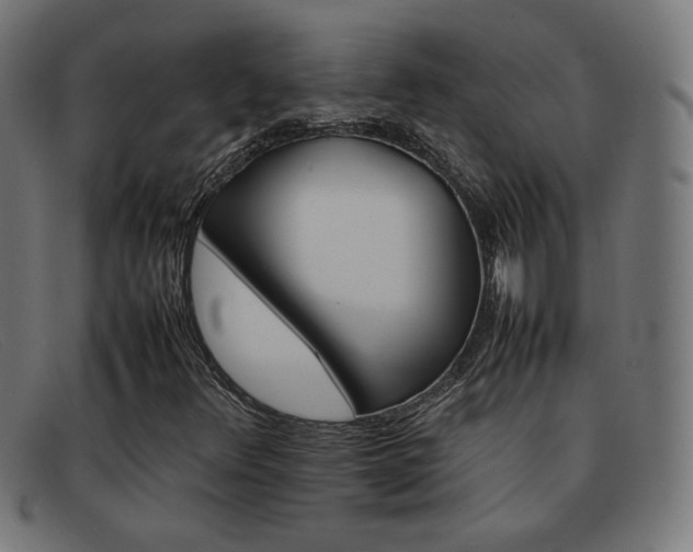 X0000092101348200709121101