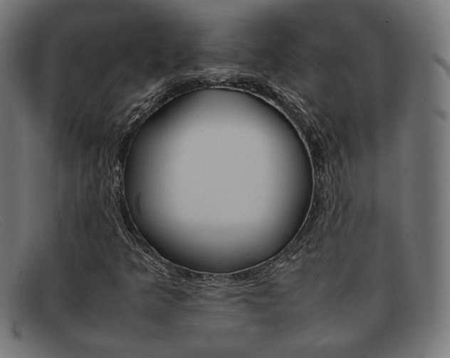 X0000092101349200709121101
