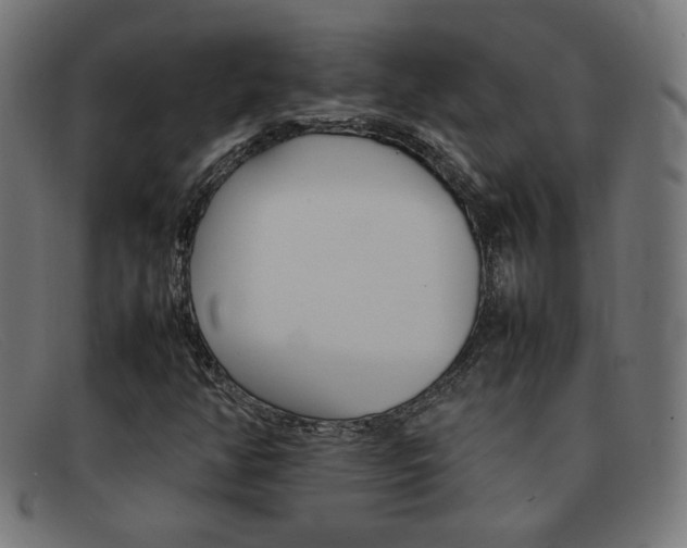 X0000092101350200709121101