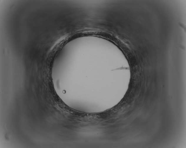 X0000092101351200709121101