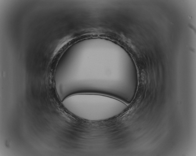 X0000092101352200709121101